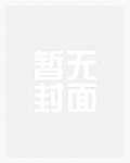 S区(1V1 SC)